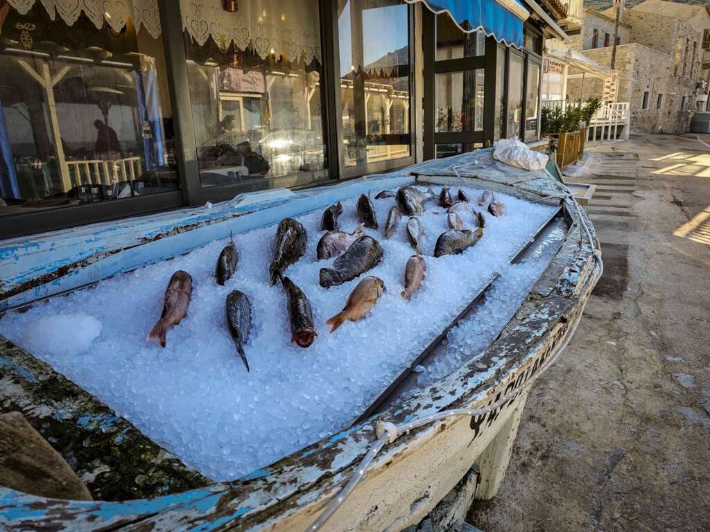 Fangfrischer Fisch vor dem Restaurant