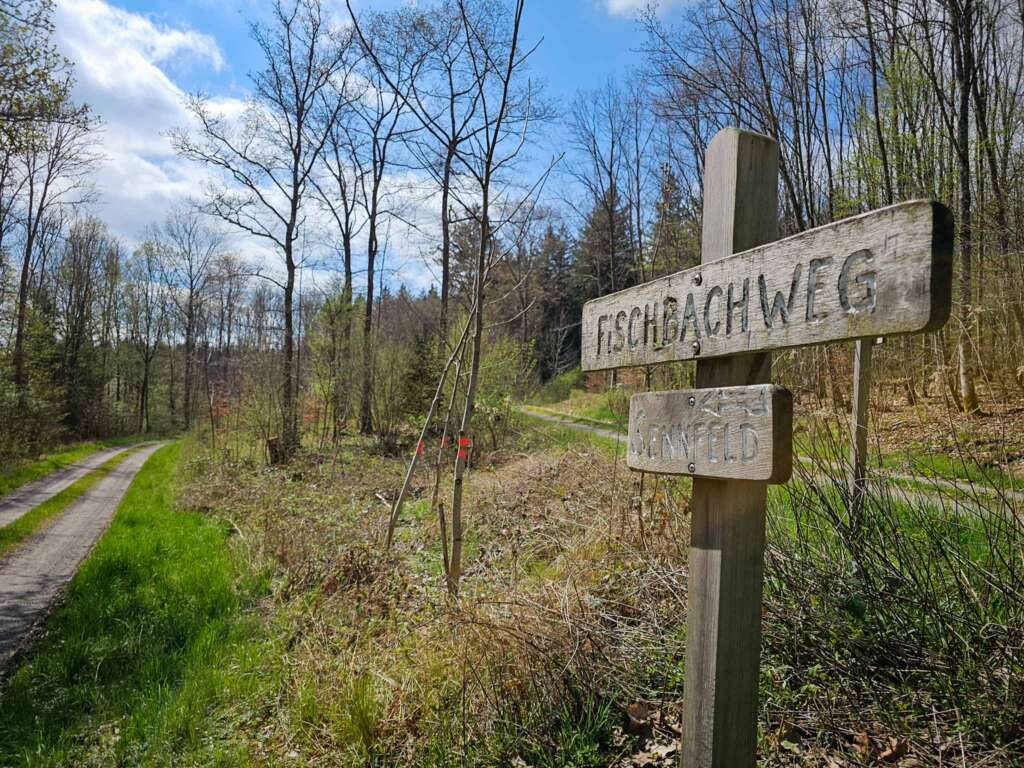 Wanderung am Fischbachweg – Naturgenuss vom Landhof Blum aus 7 20250419 114107