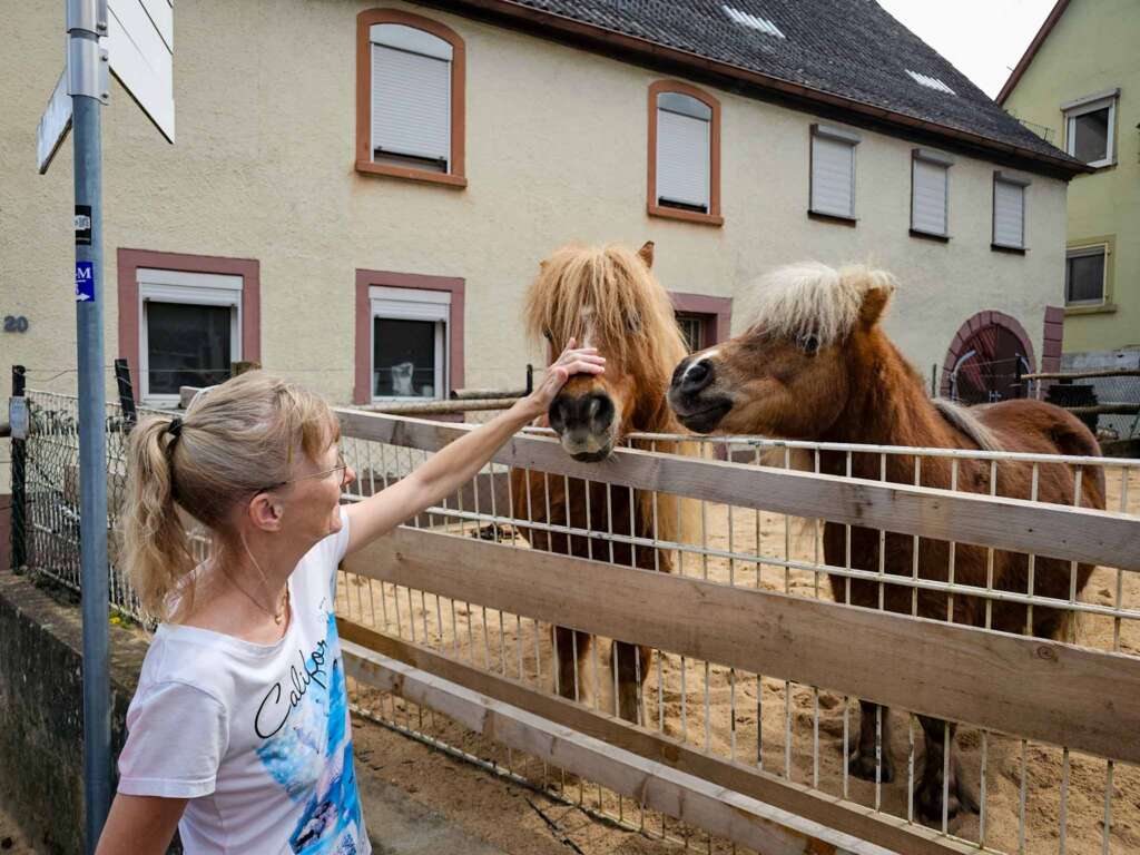 Wohnmobilstellplatz Gerlachsheim: Idyllischer Stopp mit Charme 9 20250420 122551