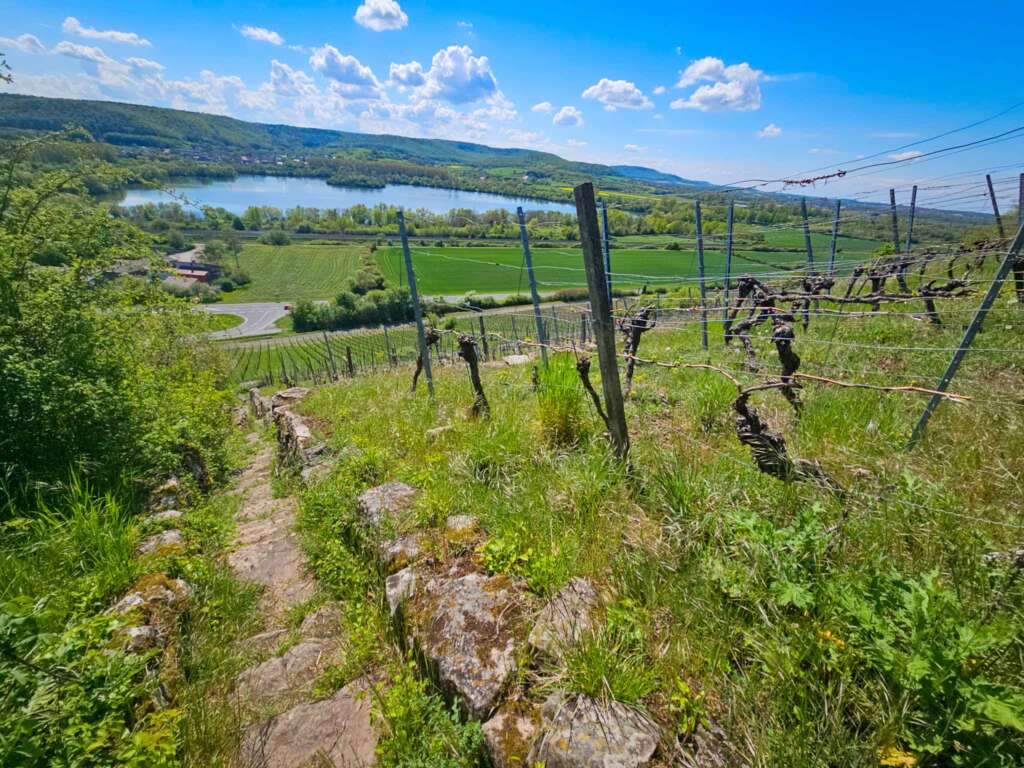 Wanderung zur Burgruine Schmachtenberg bei Zeil am Main 12 Zeil am Main