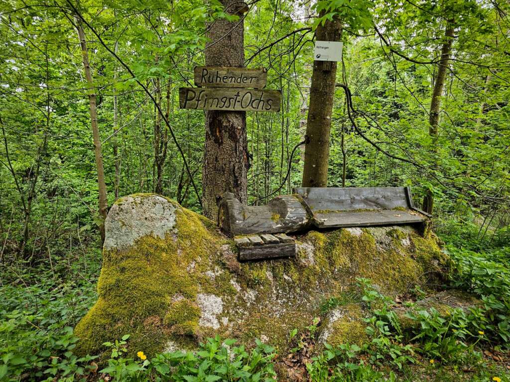 Wandern am Mittelpunkt von Mitteleuropa mit Freunden 11 20250507 122241