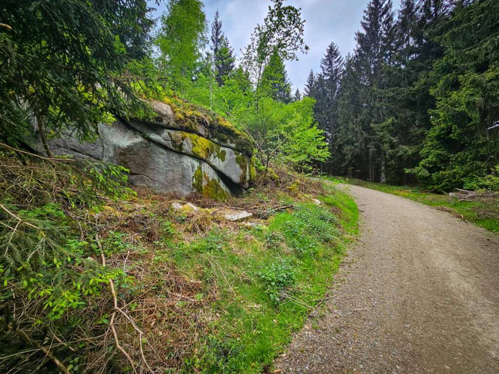 Wandern am Mittelpunkt von Mitteleuropa mit Freunden 8 20250507 124122