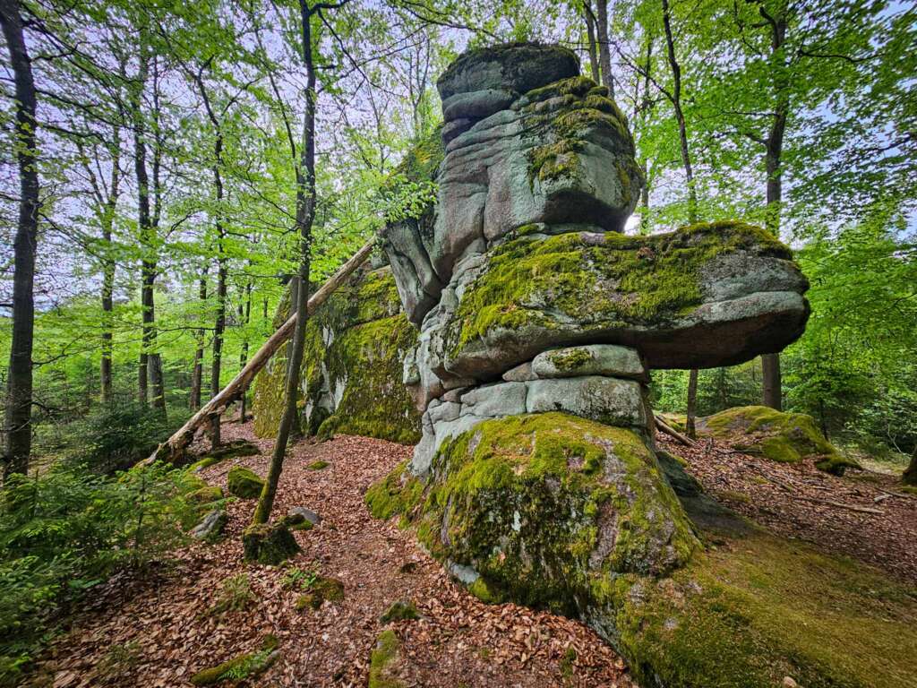 Wandern am Mittelpunkt von Mitteleuropa mit Freunden 18 20250507 150015