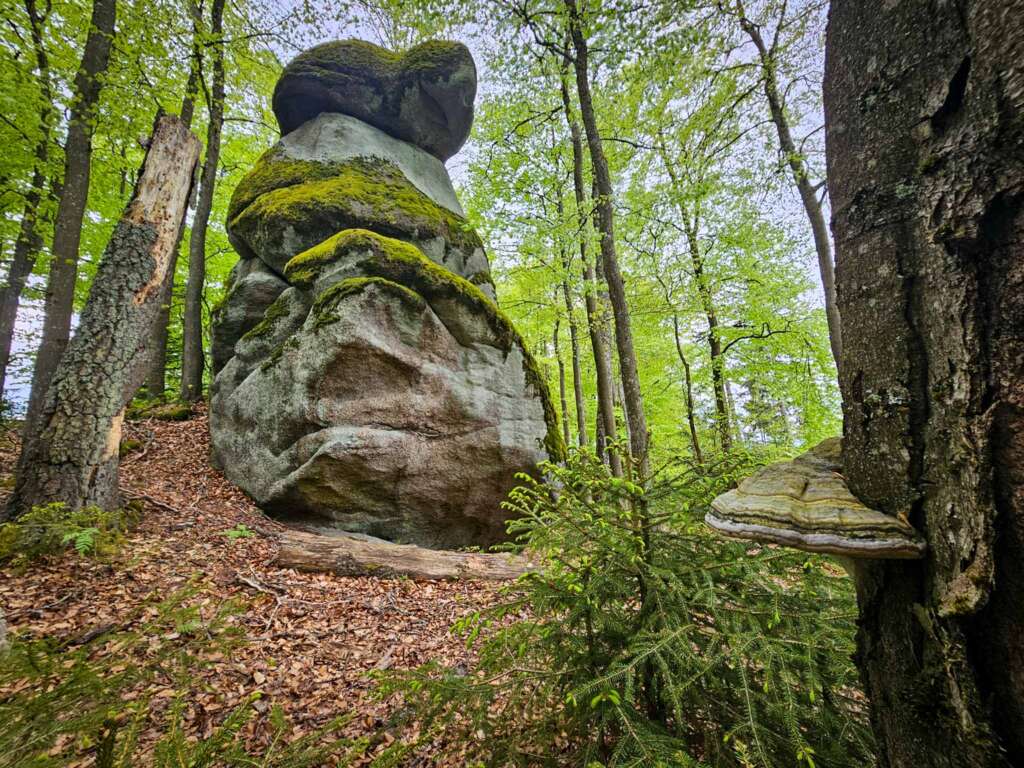 Wandern am Mittelpunkt von Mitteleuropa mit Freunden 14 20250507 150208