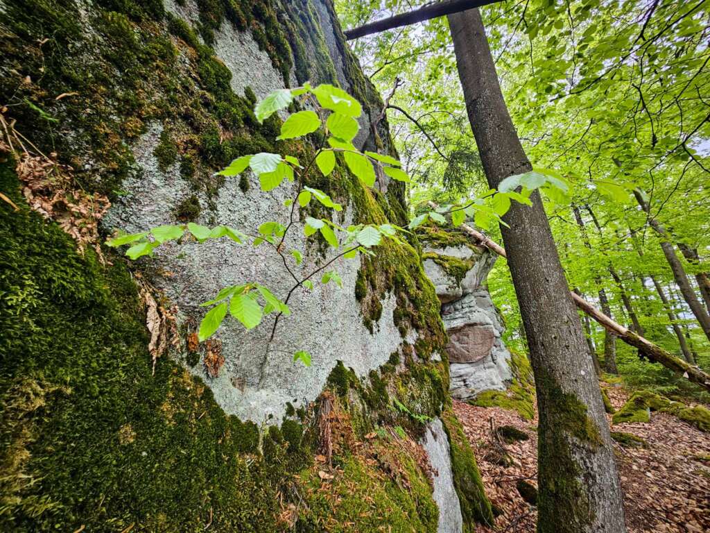 Wandern am Mittelpunkt von Mitteleuropa mit Freunden 17 20250507 150237