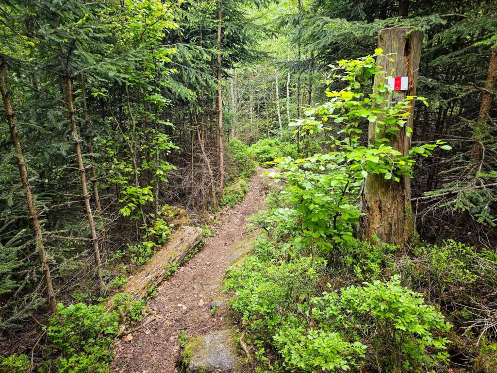 Wandern am Mittelpunkt von Mitteleuropa mit Freunden 16 20250507 150843