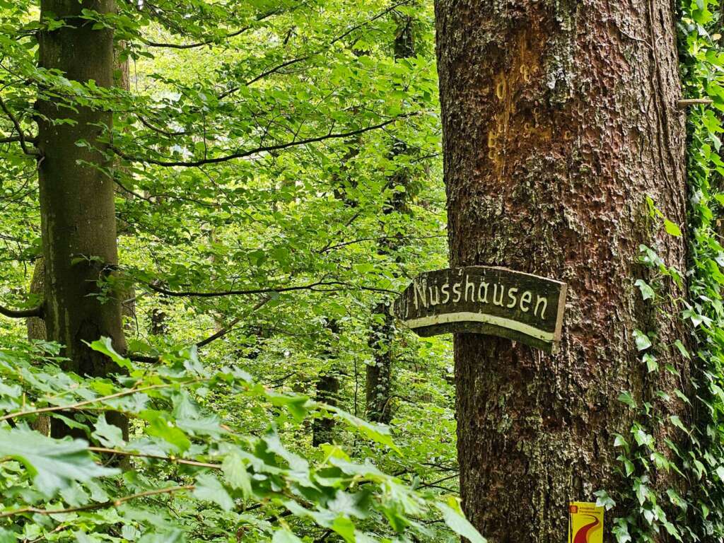 Geheime Klamm bei Burg Prunn: Diese Wanderung haut dich um! 5 20250516 130128