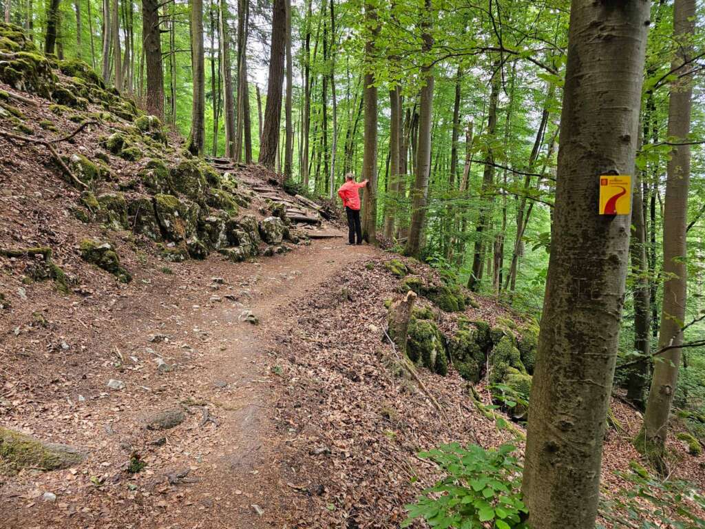 Geheime Klamm bei Burg Prunn: Diese Wanderung haut dich um! 6 20250516 132437