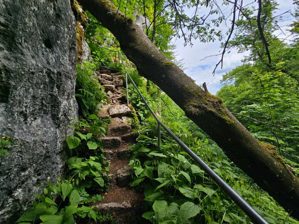 Geheime Klamm bei Burg Prunn: Diese Wanderung haut dich um! 12 20250516 132816