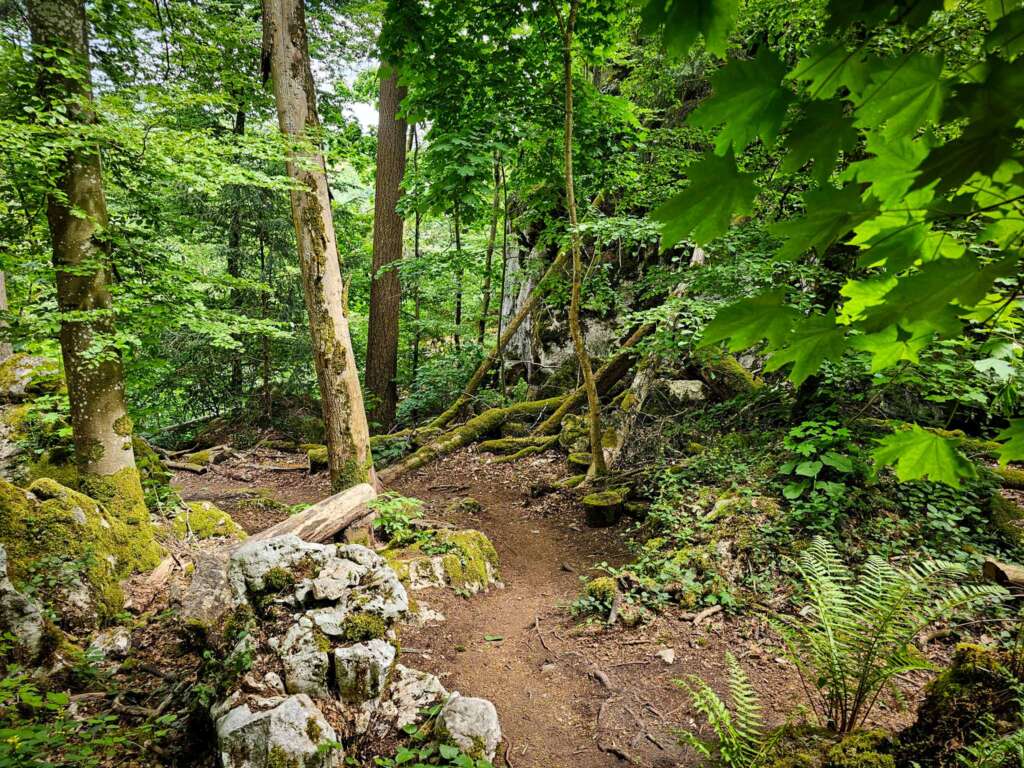 Geheime Klamm bei Burg Prunn: Diese Wanderung haut dich um! 15 20250516 133331