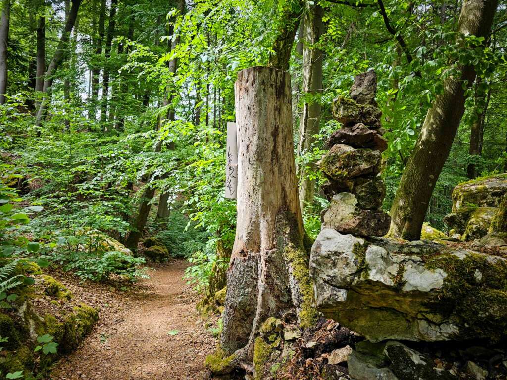 Geheime Klamm bei Burg Prunn: Diese Wanderung haut dich um! 10 20250516 134122