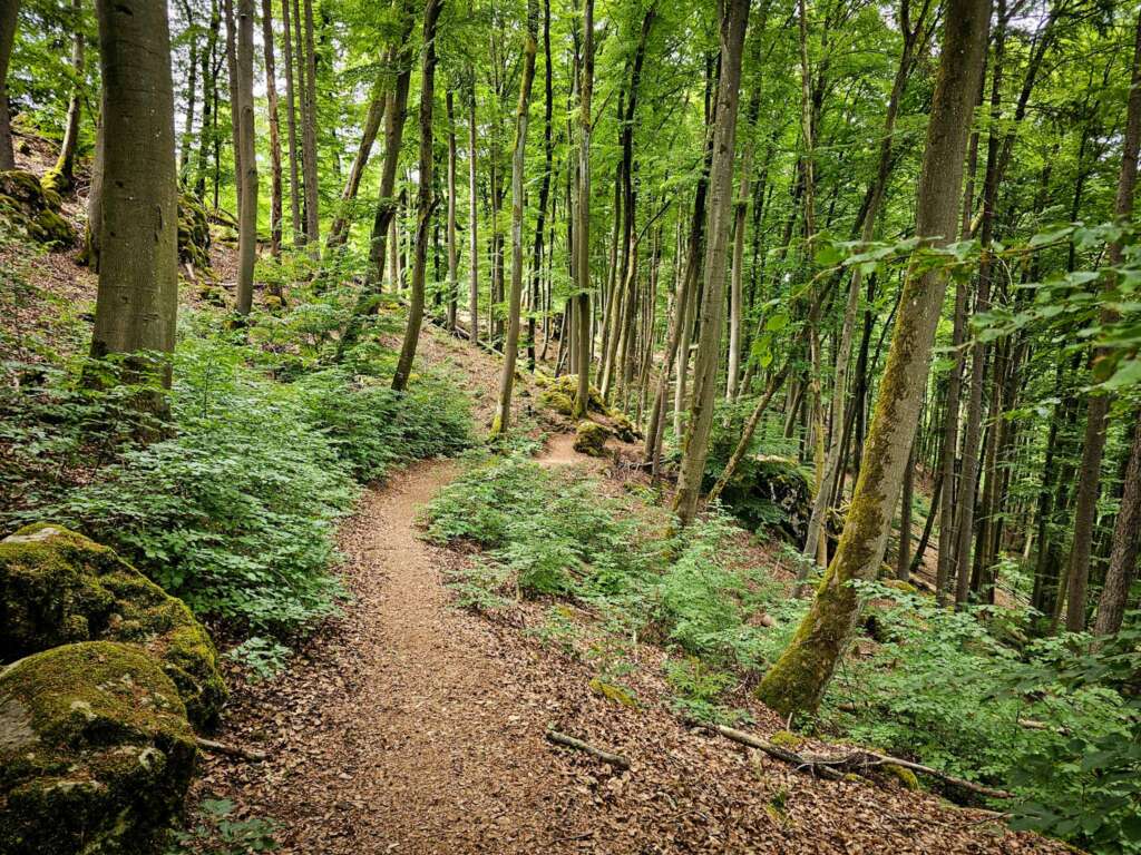 Geheime Klamm bei Burg Prunn: Diese Wanderung haut dich um! 11 20250516 134143