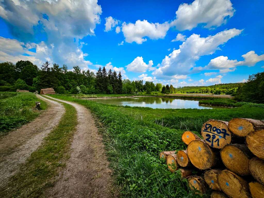 Wanderung bei Burgwalden: Naturidylle an stillen Fischteichen 3 20250518 111302