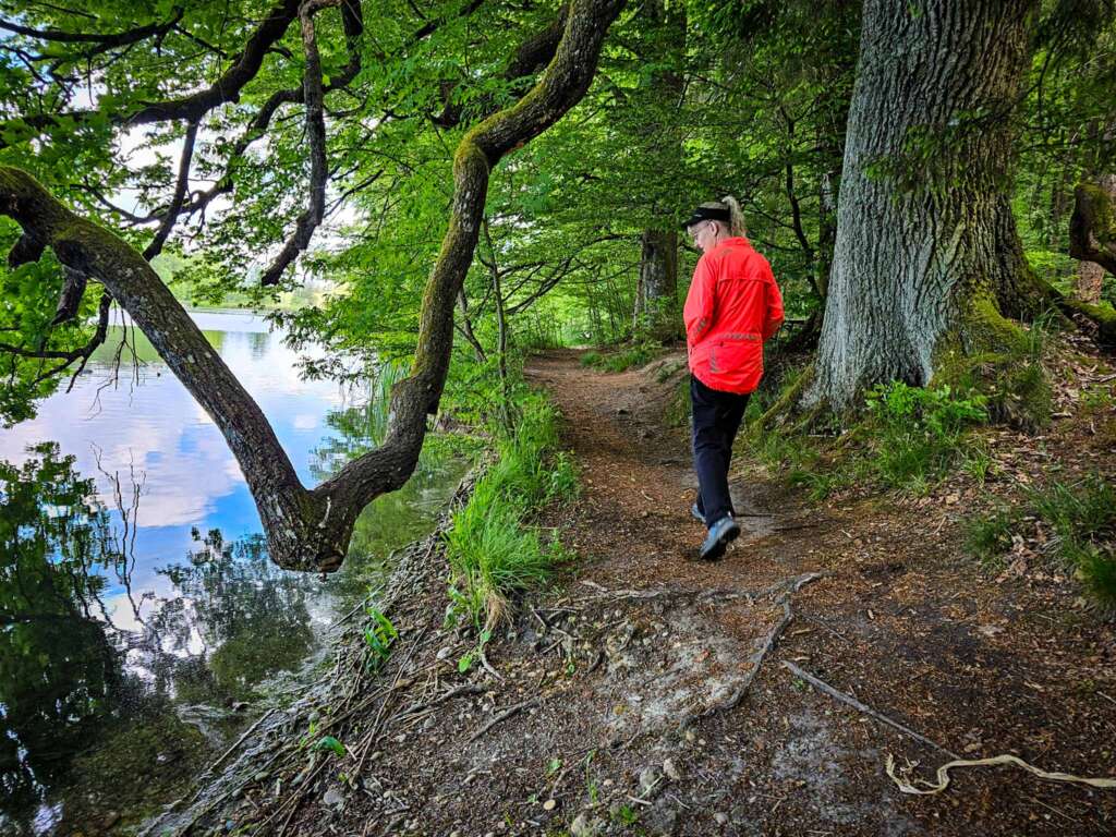 Wanderung bei Burgwalden: Naturidylle an stillen Fischteichen 7 20250518 111909