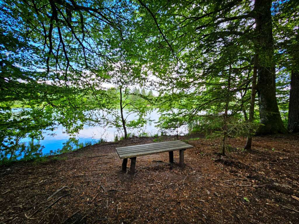 Wanderung bei Burgwalden: Naturidylle an stillen Fischteichen 6 20250518 111946