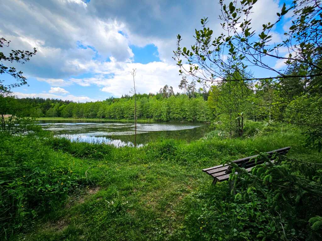 Wanderung bei Burgwalden: Naturidylle an stillen Fischteichen 12 Wanderung bei Burgwalden