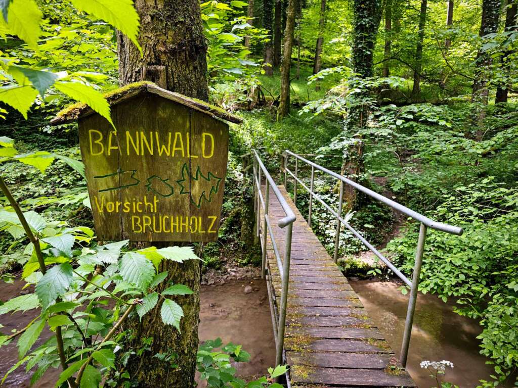 Wanderabenteuer im Rinkenburger Tobel: Wasserfall und Wildnis 10 Rinkenburger Tobel