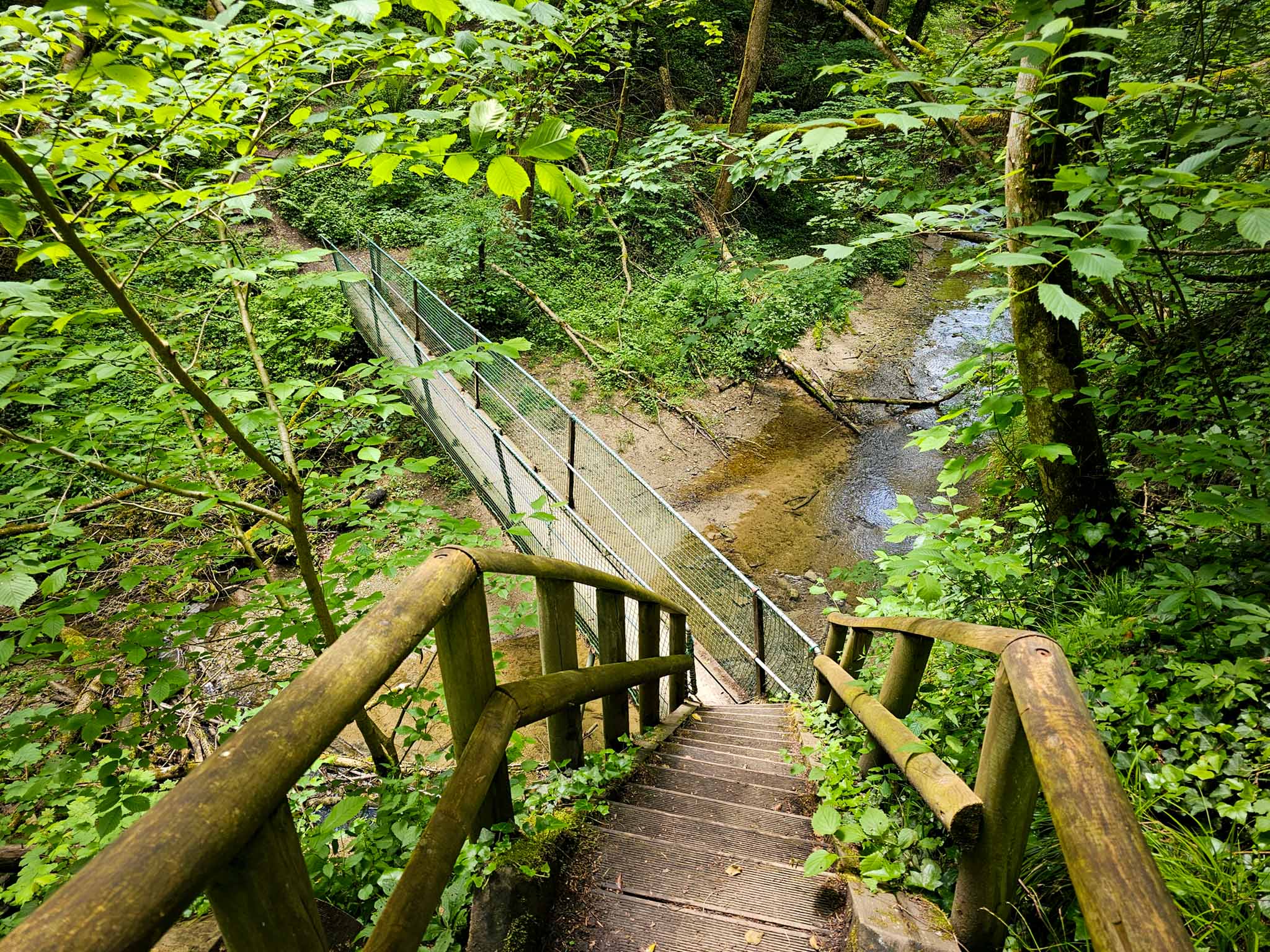 Bannwald