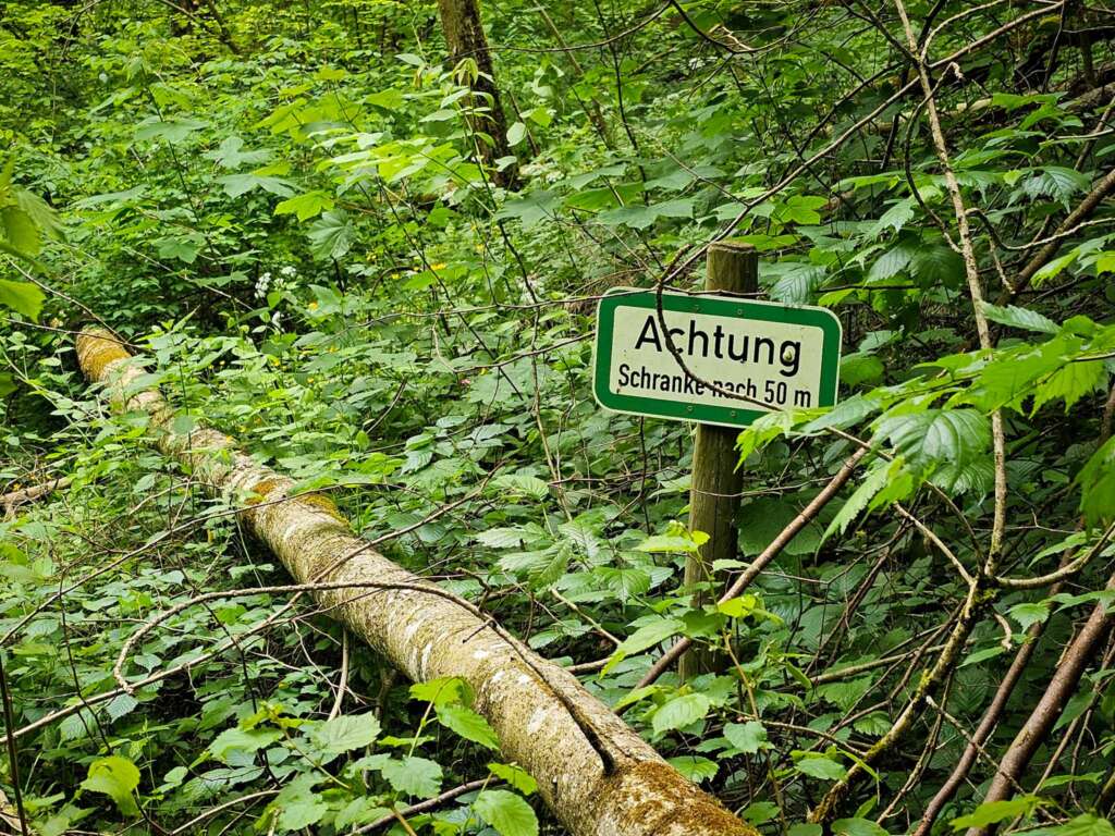 Wanderabenteuer im Rinkenburger Tobel: Wasserfall und Wildnis 13 20250523 130114