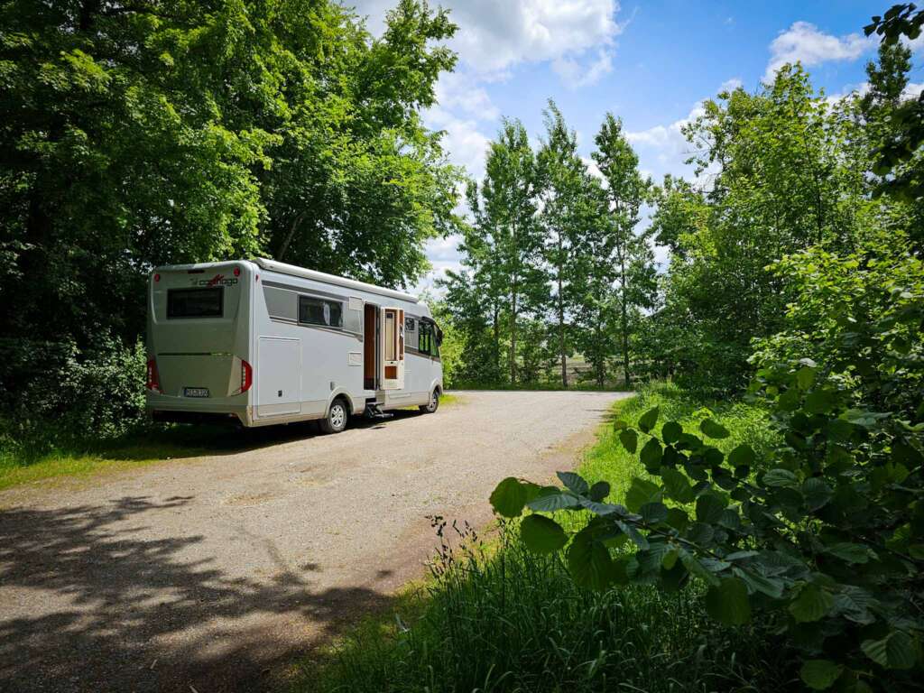 Moorwanderung im Steinacher Ried: Natur pur erleben 3 20250524 133651