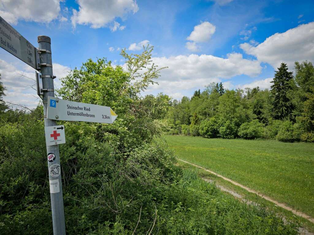 Moorwanderung im Steinacher Ried: Natur pur erleben 4 20250524 142650