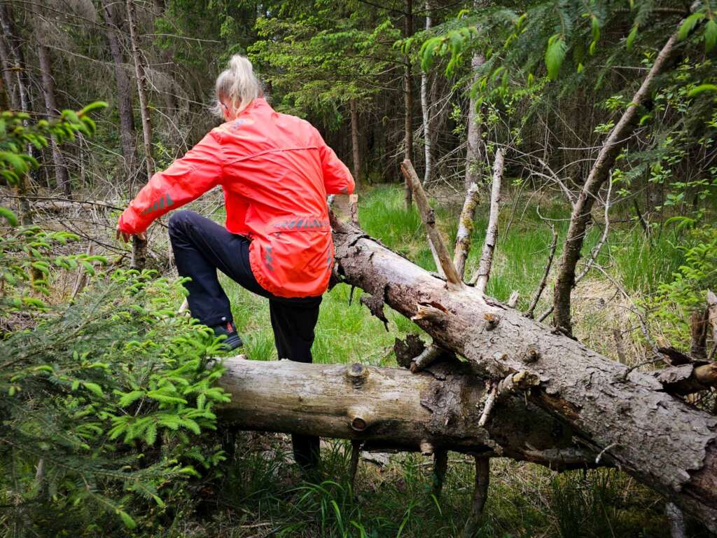 Moorwanderung im Steinacher Ried: Natur pur erleben 18 Steinacher Ried