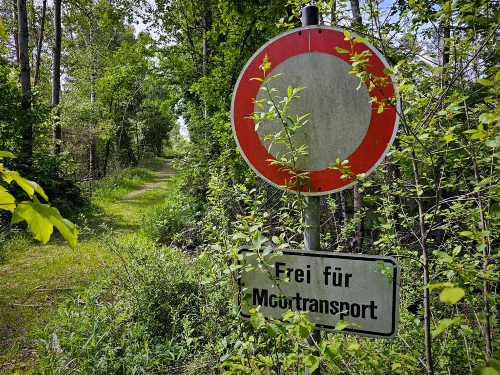 Moorwanderung im Steinacher Ried: Natur pur erleben 17 20250524 153530