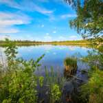 Wurzbacher Ried 6