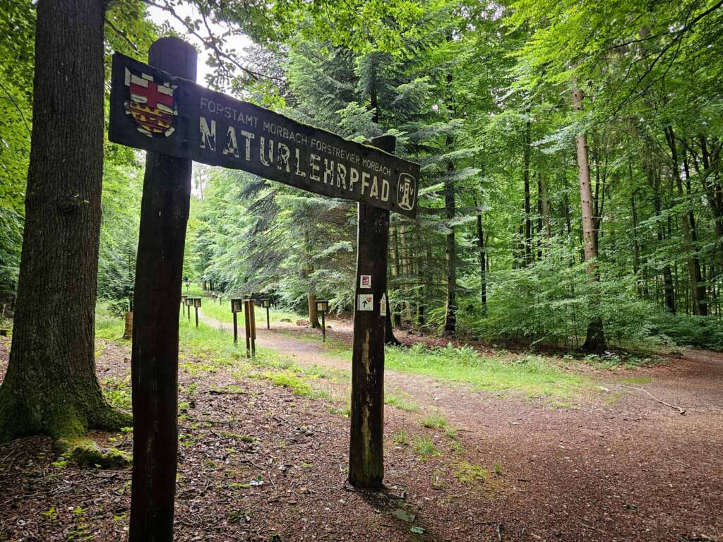 Wandern auf der Traumschleife Ölmühlentour: Natur & Nostalgie 5 Traumschleife Ölmühlentour