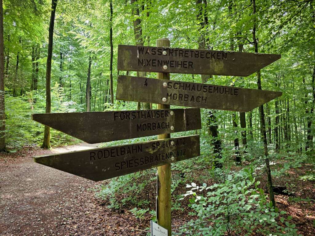 Wandern auf der Traumschleife Ölmühlentour: Natur & Nostalgie 3 Traumschleife Ölmühlentour