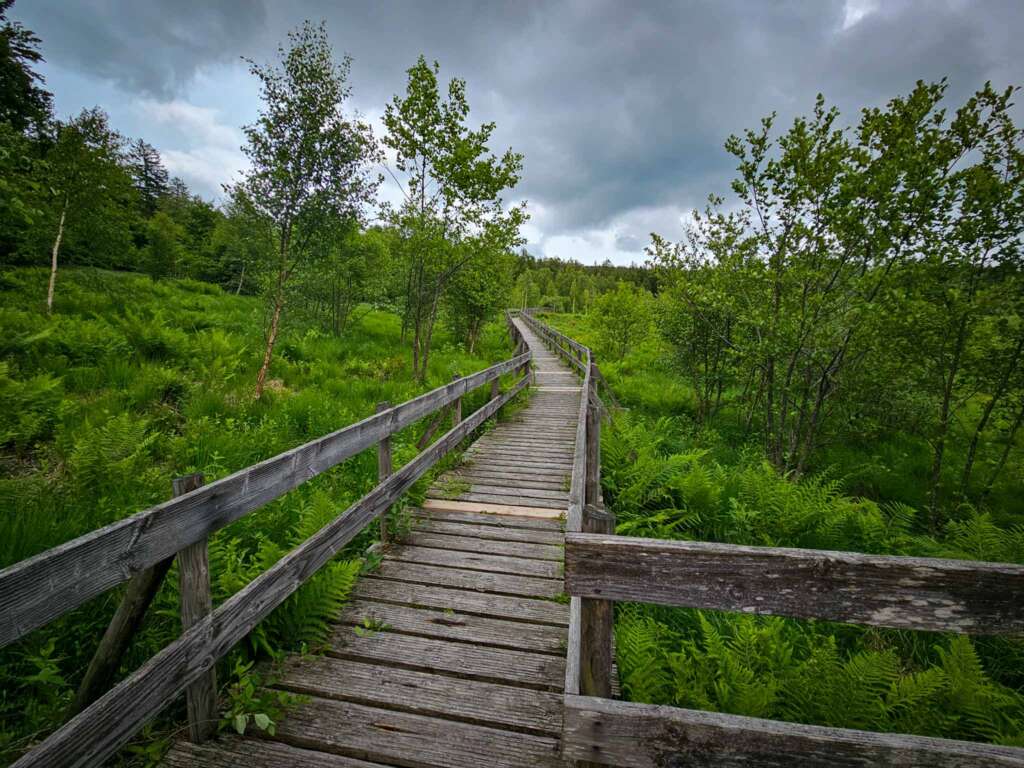 Wandern auf der Traumschleife Ölmühlentour: Natur & Nostalgie 6 Traumschleife Ölmühlentour