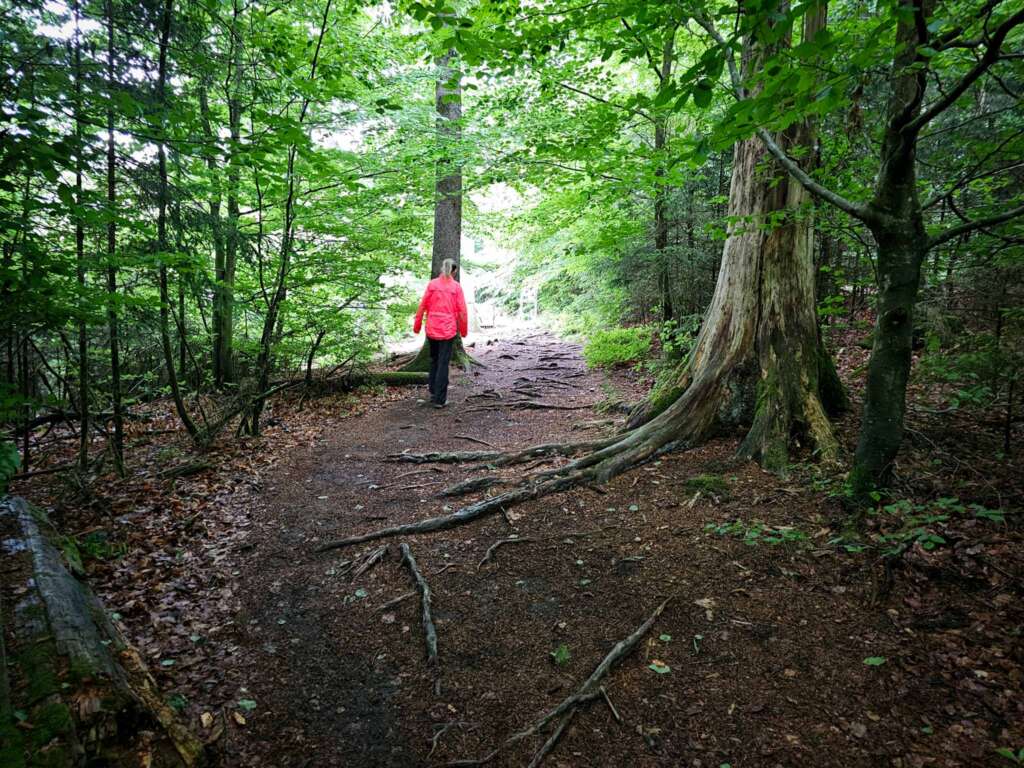 Wandern auf der Traumschleife Ölmühlentour: Natur & Nostalgie 4 Traumschleife Ölmühlentour