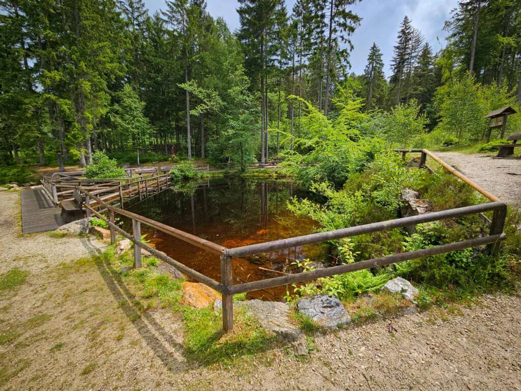 Wandern auf der Traumschleife Ölmühlentour: Natur & Nostalgie 8 Nixenweiher