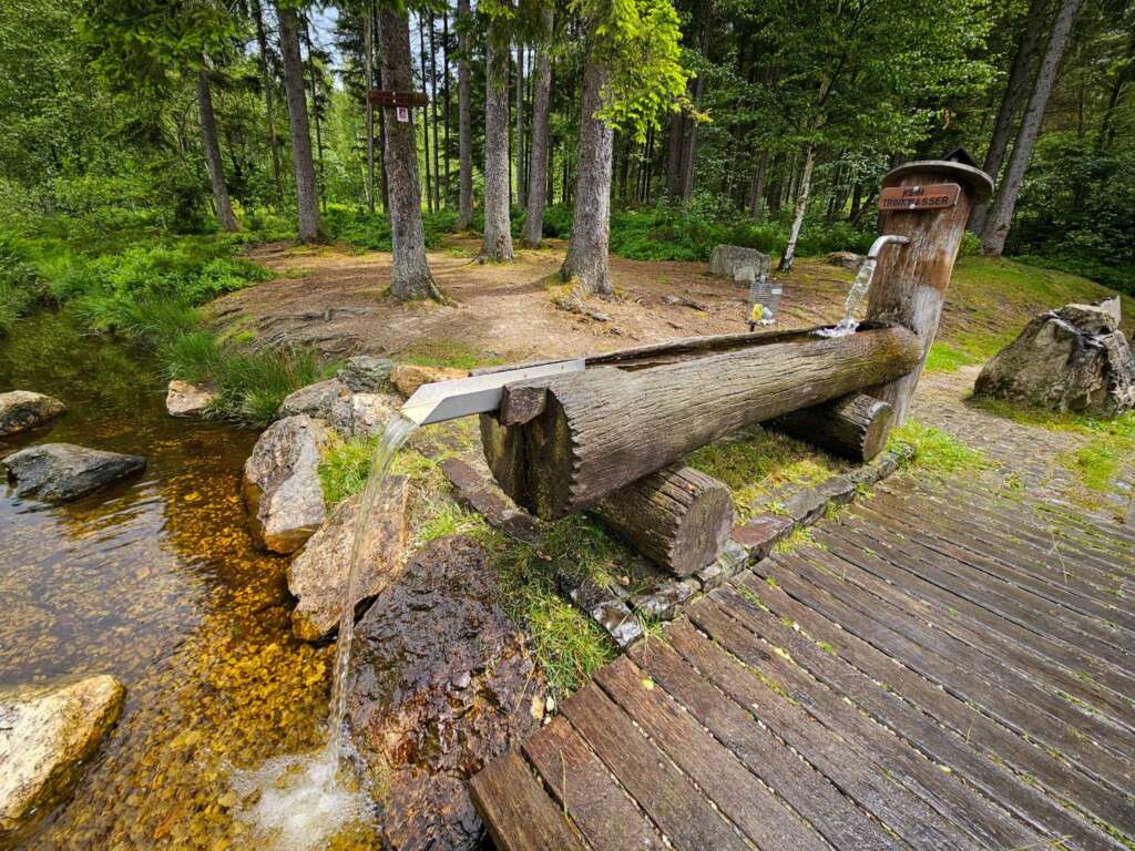 Wandern auf der Traumschleife Ölmühlentour: Natur & Nostalgie 11 Nixenweiher