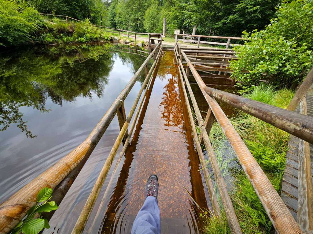 Wandern auf der Traumschleife Ölmühlentour: Natur & Nostalgie 7 Nixenweiher