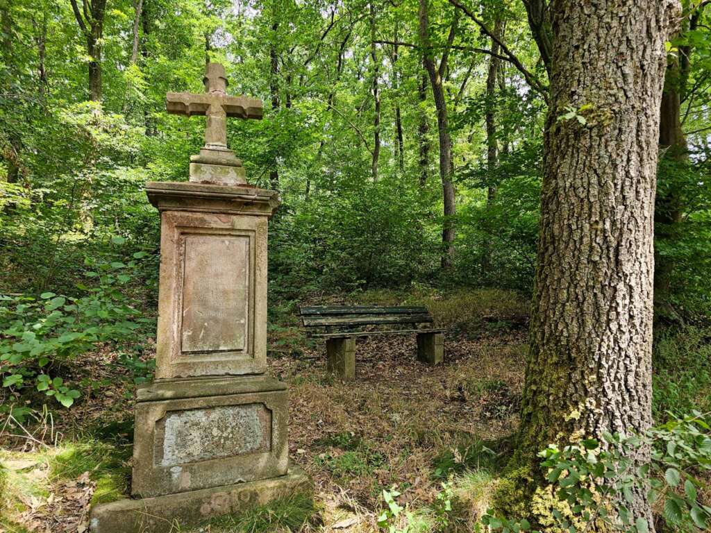 Traumschleife Ruwer-Hochwald Schleife