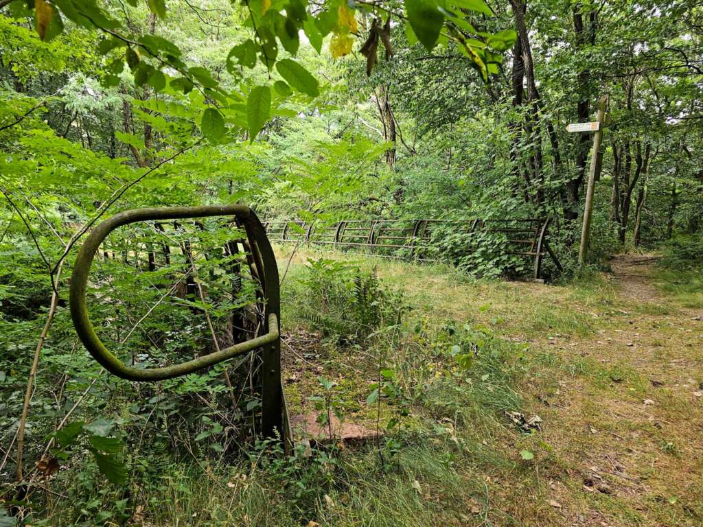 Traumschleife Ruwer-Hochwald Schleife