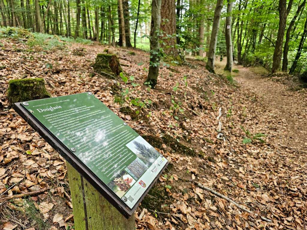 Traumschleife Ruwer-Hochwald Schleife