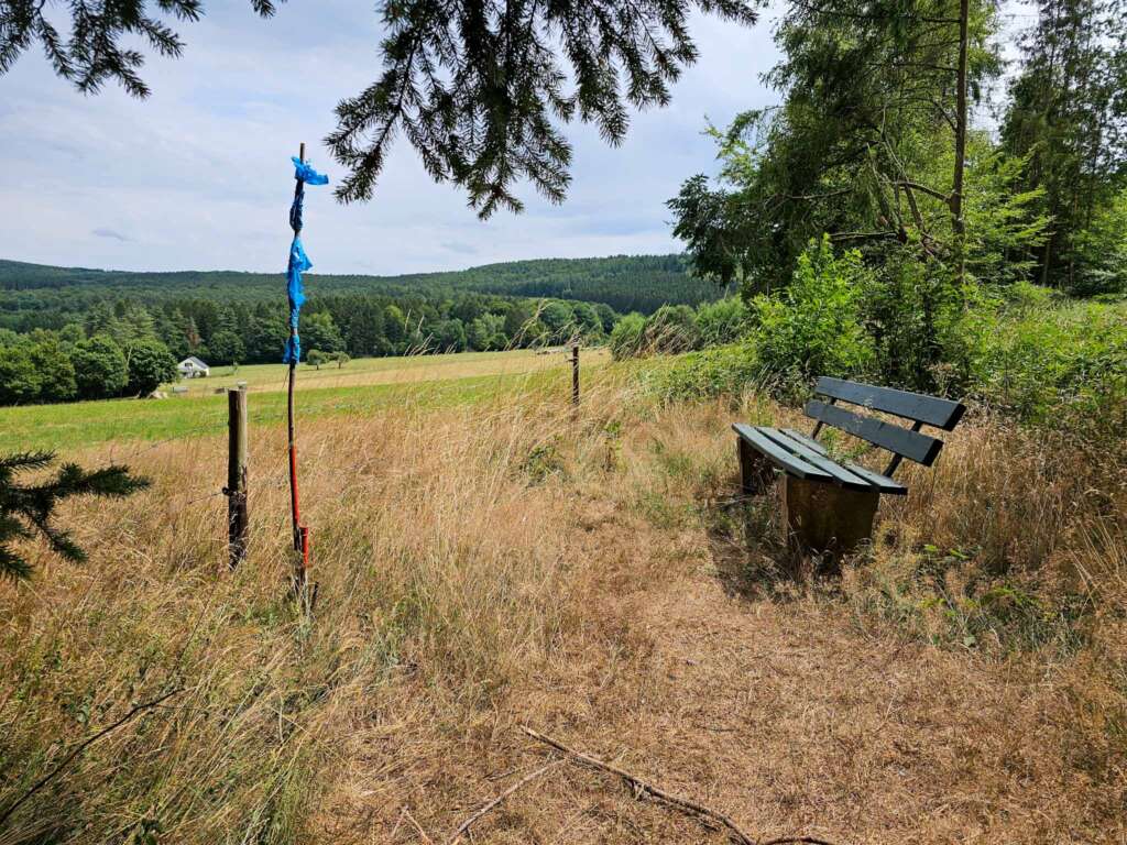 Traumschleife Ruwer-Hochwald Schleife