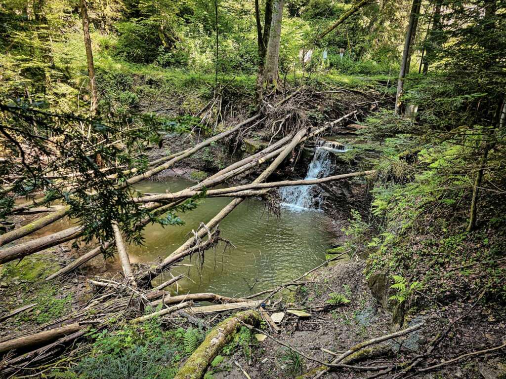 Wieslaufschlucht und Edenbachschlucht