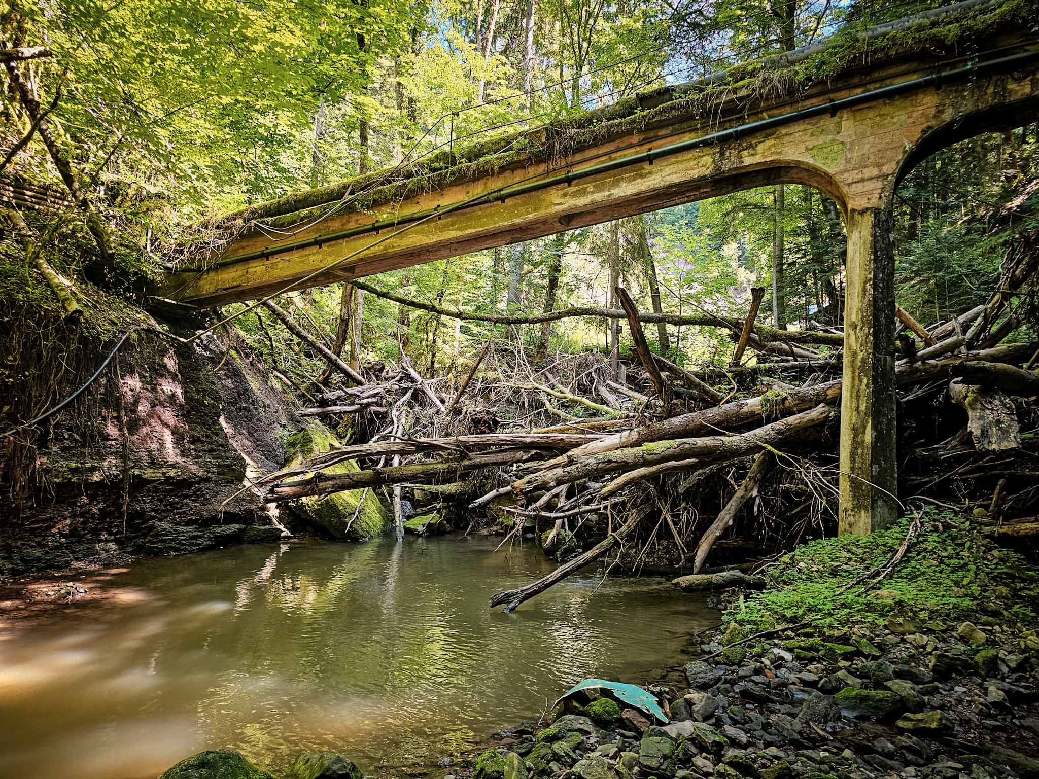 Wieslaufschlucht und Edenbachschlucht
