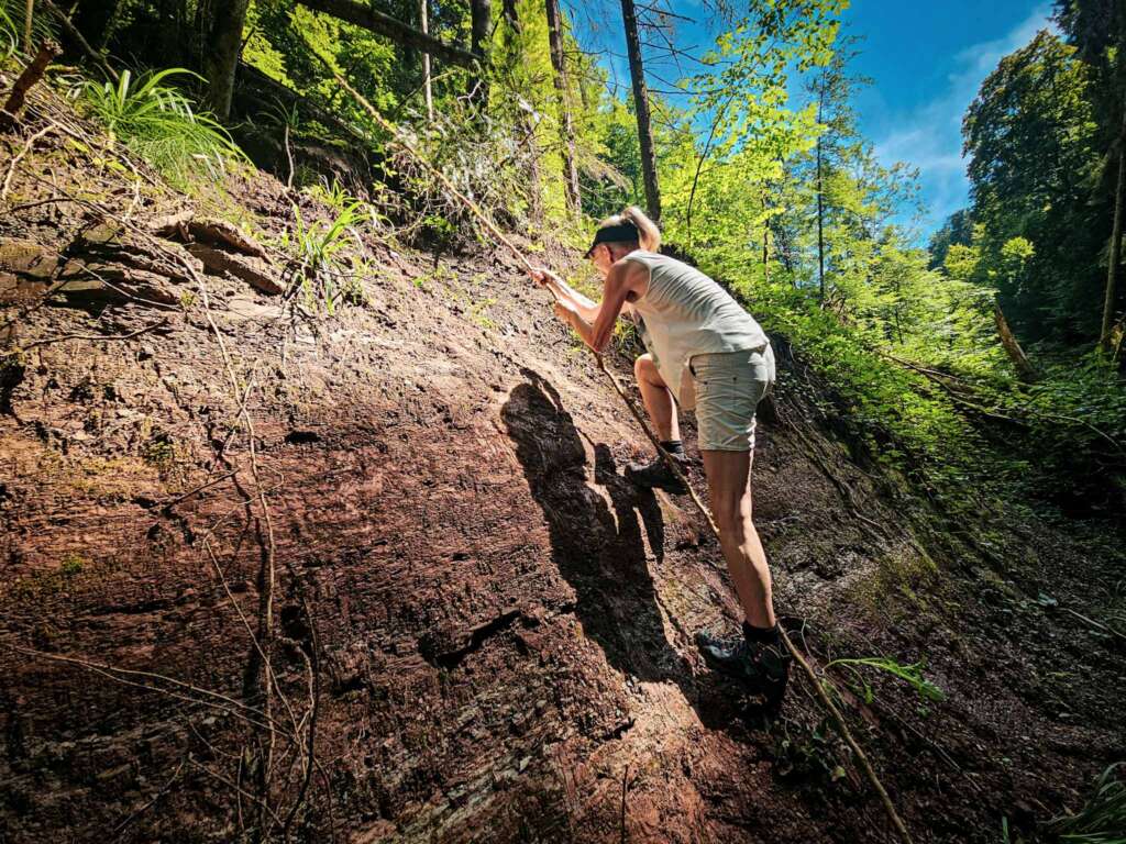 Wieslaufschlucht und Edenbachschlucht