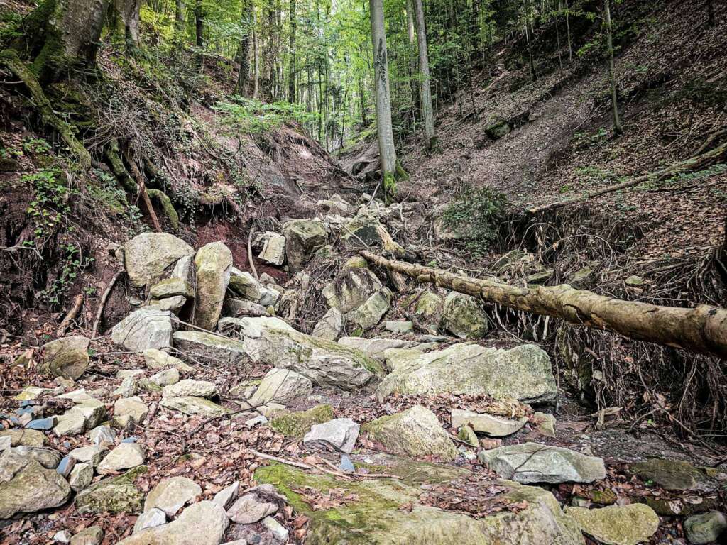 Wieslaufschlucht und Edenbachschlucht