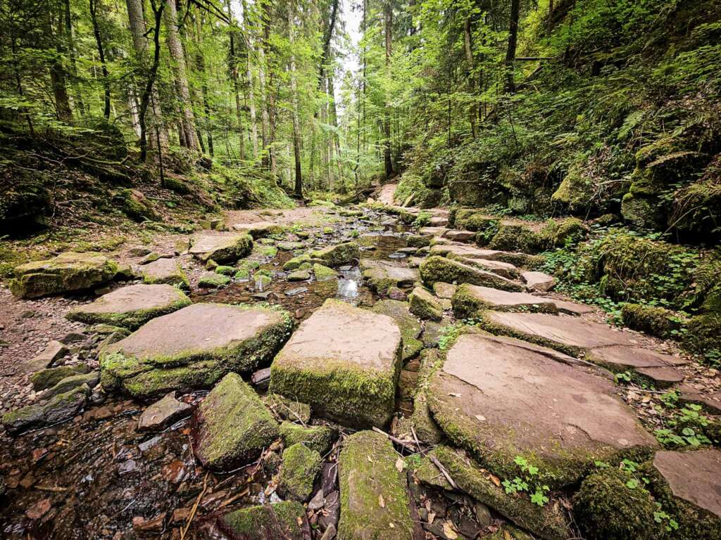Monbachschlucht Bad Liebenzell