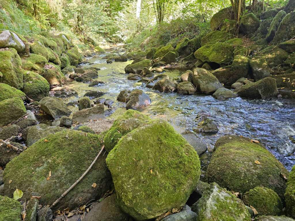 Geroldsauer Wasserfall