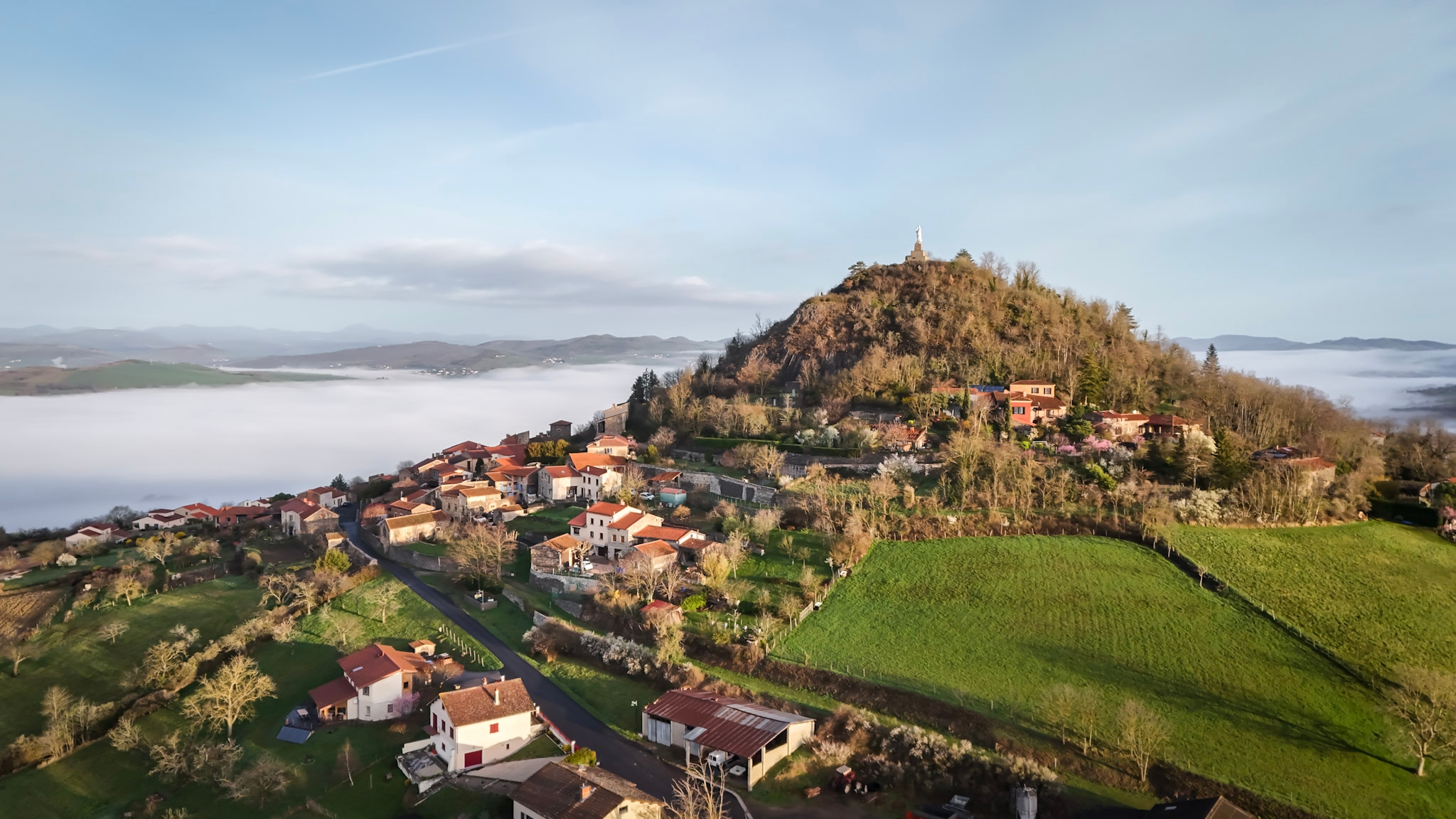 DJI 20260312075221 0052 D